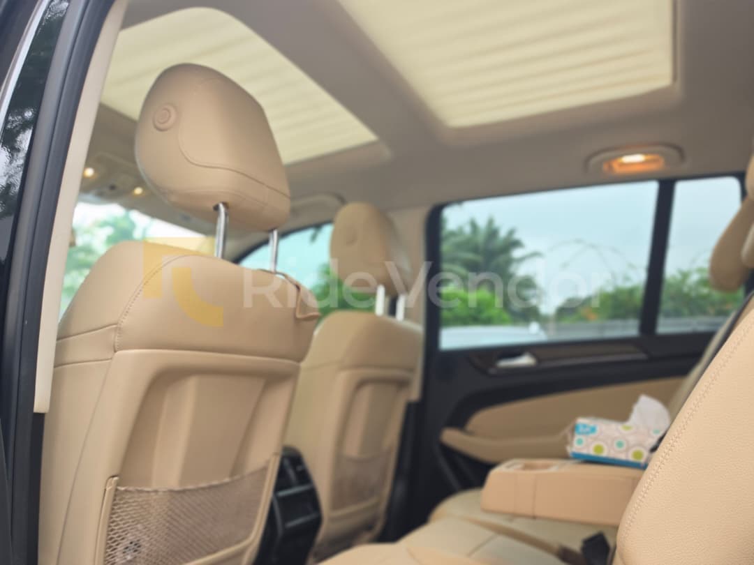 2019 Mercedes-Benz GLS 450 — photo 2